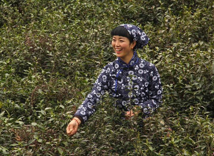 热门11